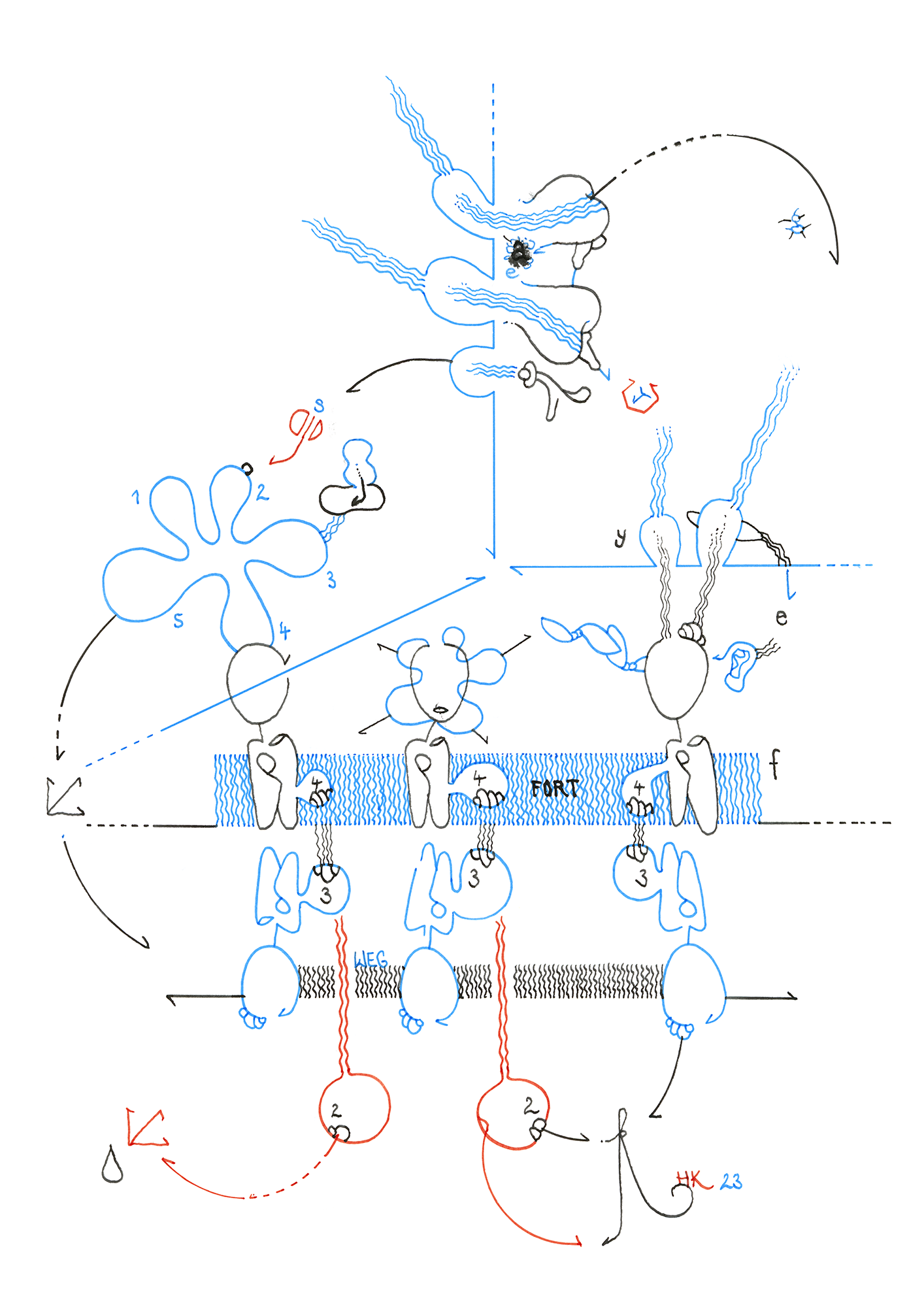 Hannes Kater: Tageszeichnung (Zeichnung/drawing) vom 17.08.2023 (1414 x 2000 Pixel)