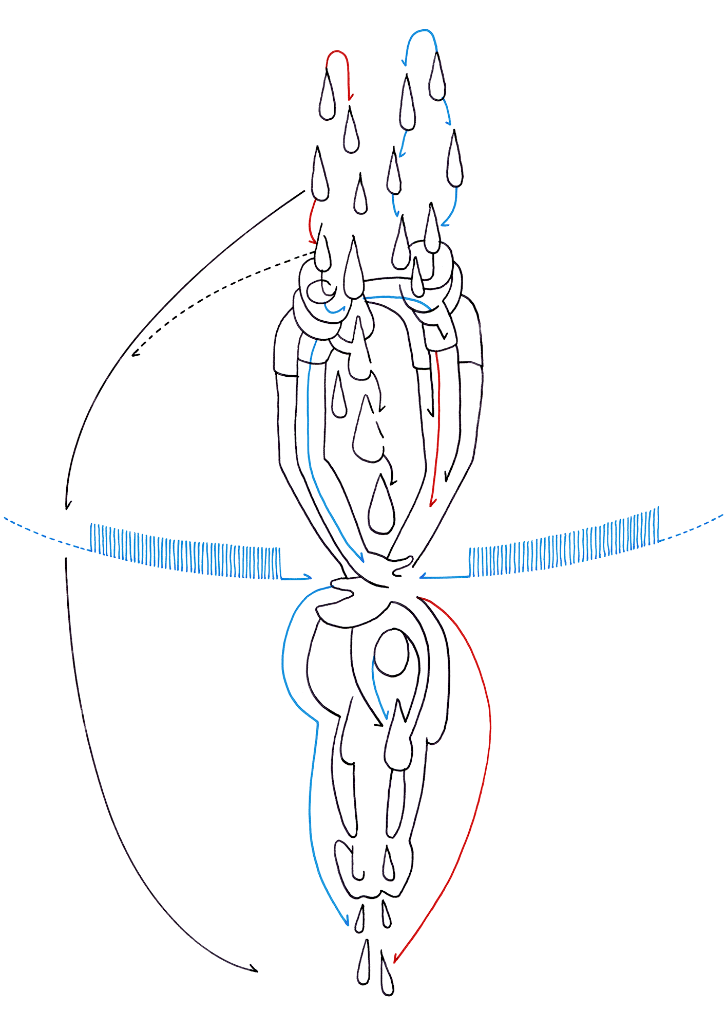 Hannes Kater – Tageszeichnung (Zeichnung/drawing) vom 05.11.2014 (1414 x 2000 Pixel)
