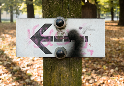 LP 2207 - Lieblingspfeil Nr. 2207 von Hannes Kater