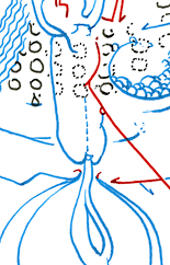 Hannes Kater – Detail Tageszeichnung vom 29.06.2015