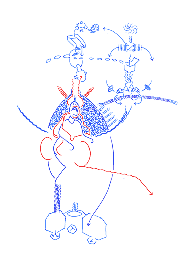 Hannes Kater: Auftragszeichnung 077_4 - 381x539 Pixel